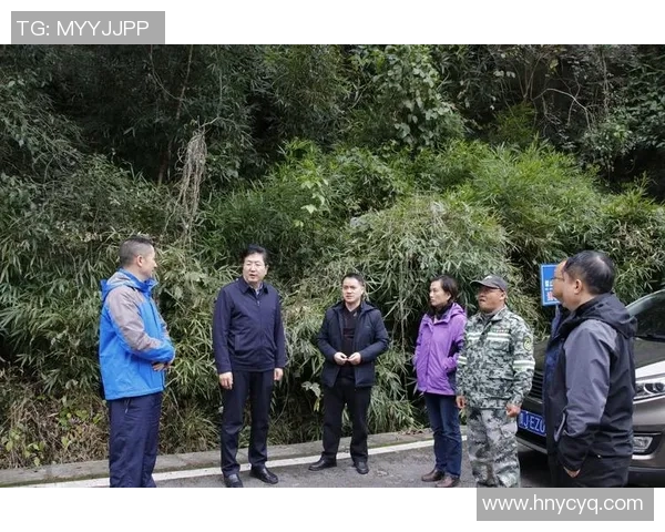杭州攀岩队的区域防守策略与技术分析深度探讨