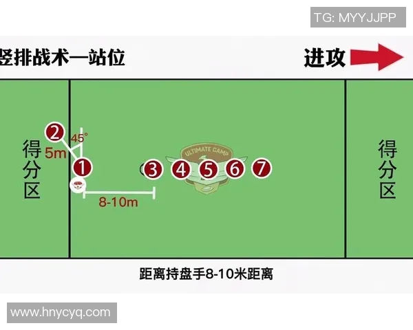 重庆飞盘队战术解析与实战应用的深度探讨与思考