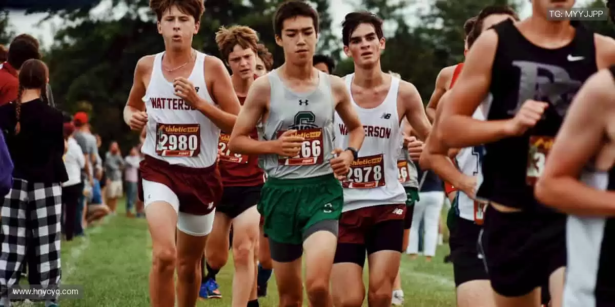 🎁🌟 限量周边，收藏你的热爱！